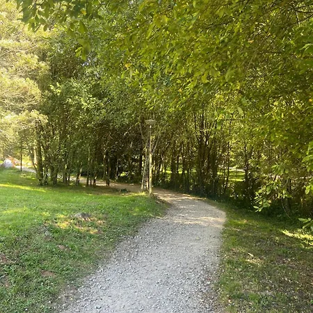 Martires De Carral *